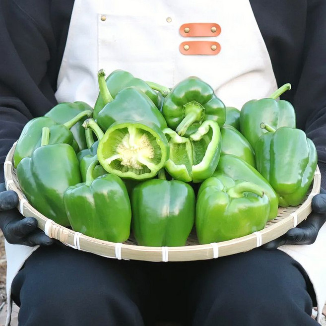 농산물마루 국내산 청파프리카 초록파프리카 청피망, 1박스, 2kg