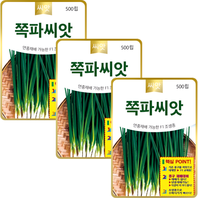 씨앗팜 쪽파씨앗 교배종 봄 여름 가을 연중 재배 쪽파 씨, 3개