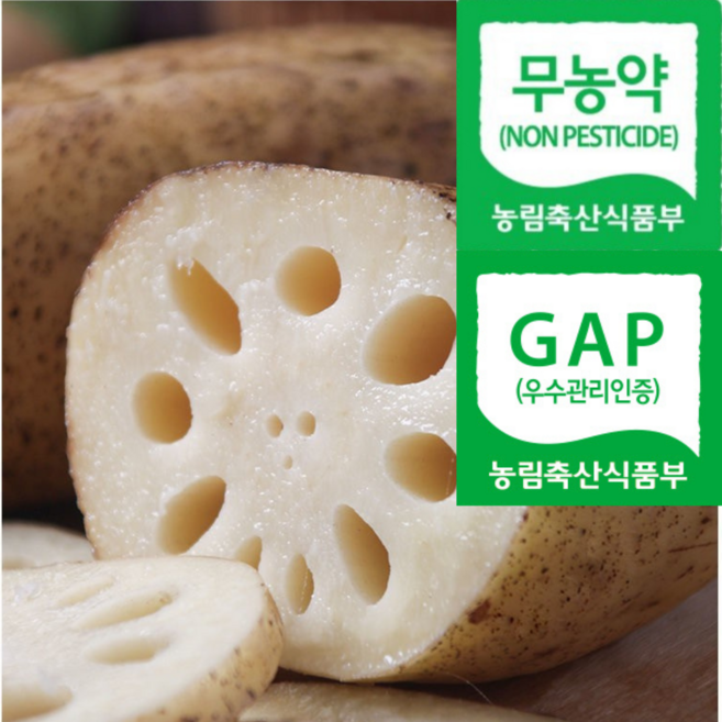 [명품농장직송] 농약안심 천연퇴비 세척연근 통연근, 1박스, 1kg(실속)