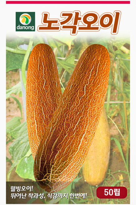 [주주씨앗] 노각오이 씨앗 50립 / 봄 여름 파종 작물 / 착과성 뛰어난 홍갈색 오이 종자, 1개