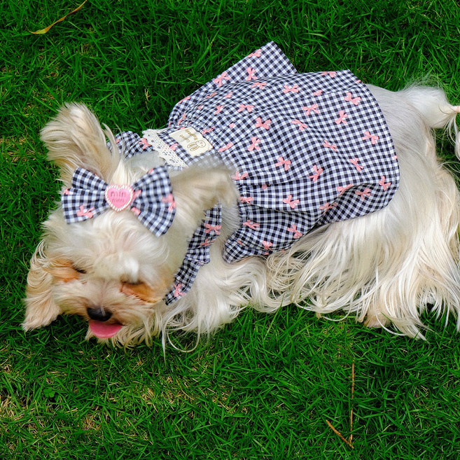 포아틀리에 강아지 블랙 체크 나비 리본 프린세스 원피스 펫 드레스, 1개, 흑백 체크무늬