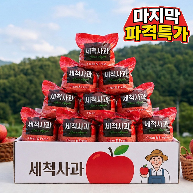 [하루딱100박스초특가] 고당도 껍질째먹는 꿀 세척사과, 1박스, 5kg