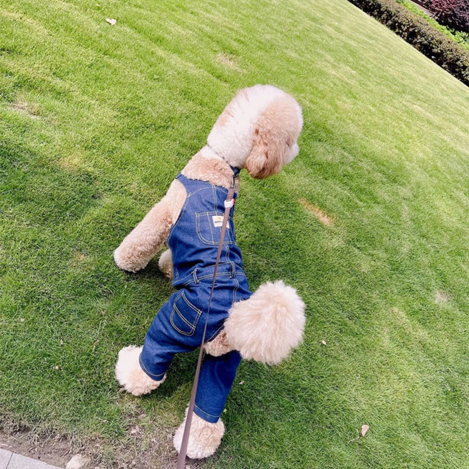 MOSAIRATION 대형견 강아지 멜빵바지 사계절 공용 모던 스타일 반려 동물 외이셔츠 H10, 1개, 블루