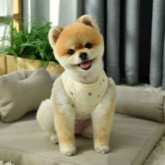 카니쿨라 강아지옷 국내산 오가닉 강아지실내복 내복 누빔 조끼 잠옷, 2. 오가닉 도치의 소풍, 1개