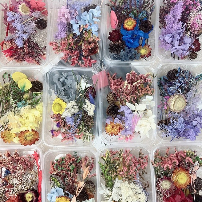 盒裝DIY材料包：乾燥花永生花擴香石材料組 不凋花浮游花蠟燭香薰手工活動壓花相框拍照道具
