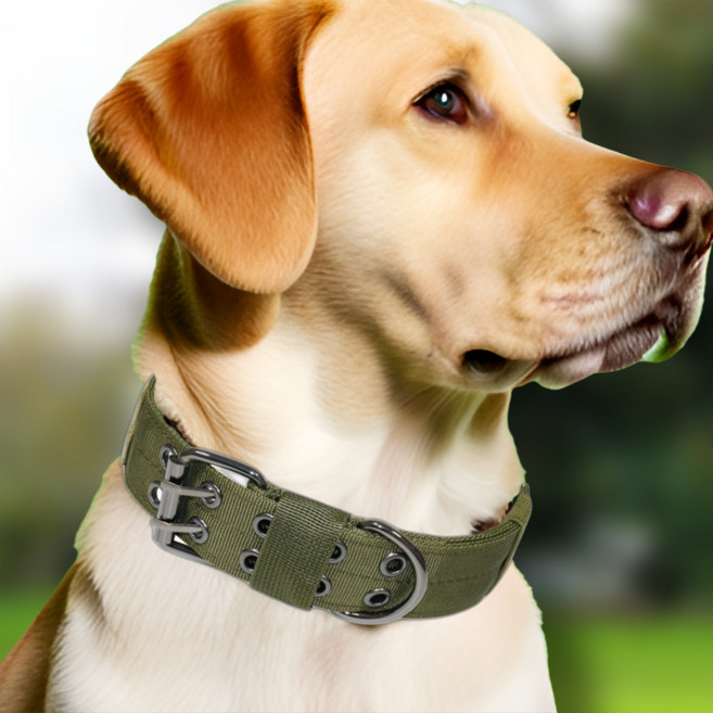 더트롱 튼튼한 대형견 중형견 벨트 목줄, 1개, 카키