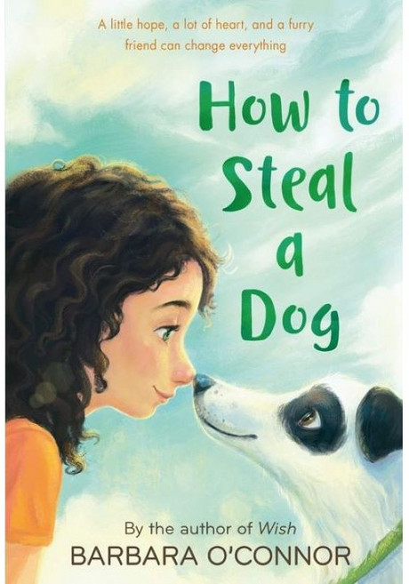 How to Steal a Dog (Paperback)