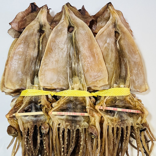 동해안 건조오징어 마른오징어 1kg(20미), 1kg, 1개