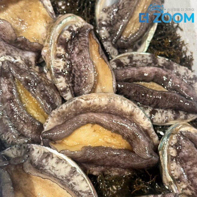 완도 전복 왕특대 직거래 1kg, 1개, 11-12미