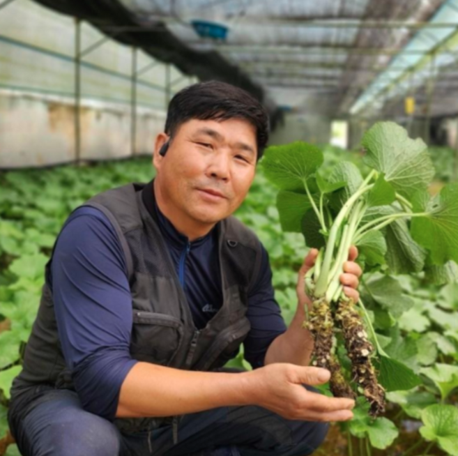 산지직송 강원도 생와사비 뿌리 고추냉이 근경, 2개, 100g(일반급)