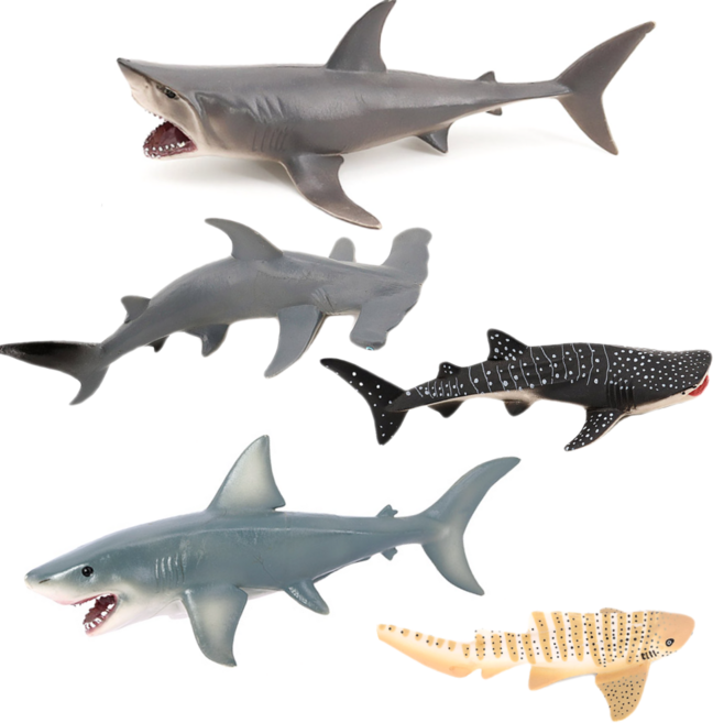 제트피규어 해양생물 피규어 장난감 5종 세트 백상아리 메갈로돈 귀상어 제브라상어 고래상어, 1개