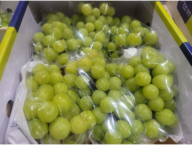 18brix 고당도선별 애플청포도 항공 직송 1kg 가정용 1박스, 1세트, 1kg (2~3송이)