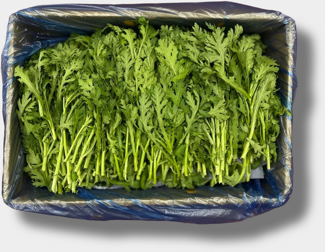 애초야 쑥갓 산지직송 향긋한 당일수확 제철 신선한채소 국내산 1BOX 3.8~4KG