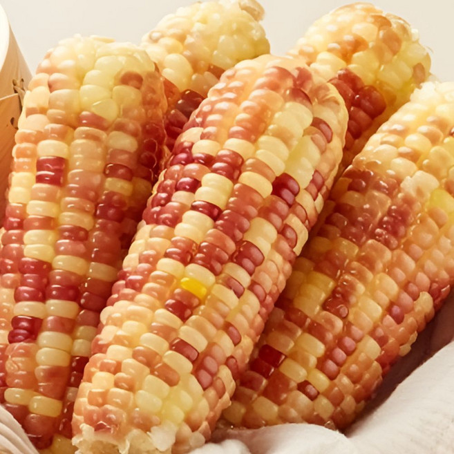 [반짝특가] 쫀득한 홍찰 옥수수 급냉, 1세트, 20개(대)