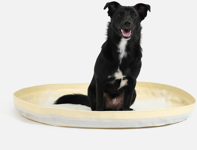 피피 강아지 애견 수컷 배변판 배변매트 방수 화장실, 1개