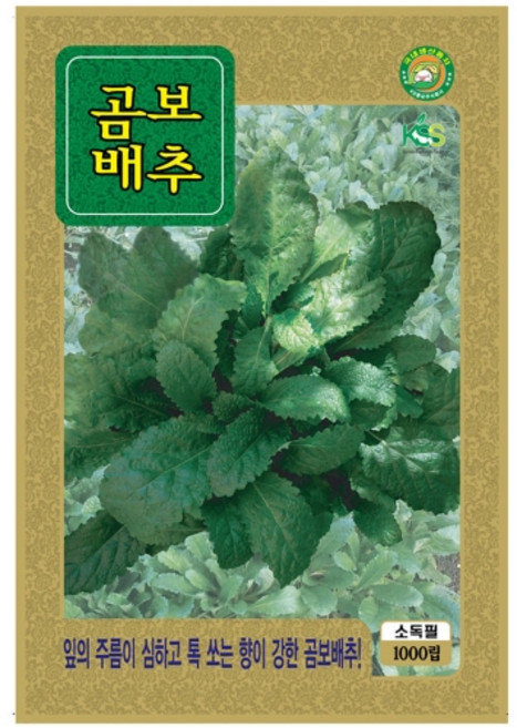 곰보배추 씨앗 1000립, 1개