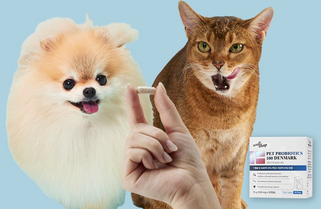 웰찹 100억 보장 강아지 고양이 덴마크 펫 유산균 프로바이오틱스 100, 30정, 장건강/유산균, 1개