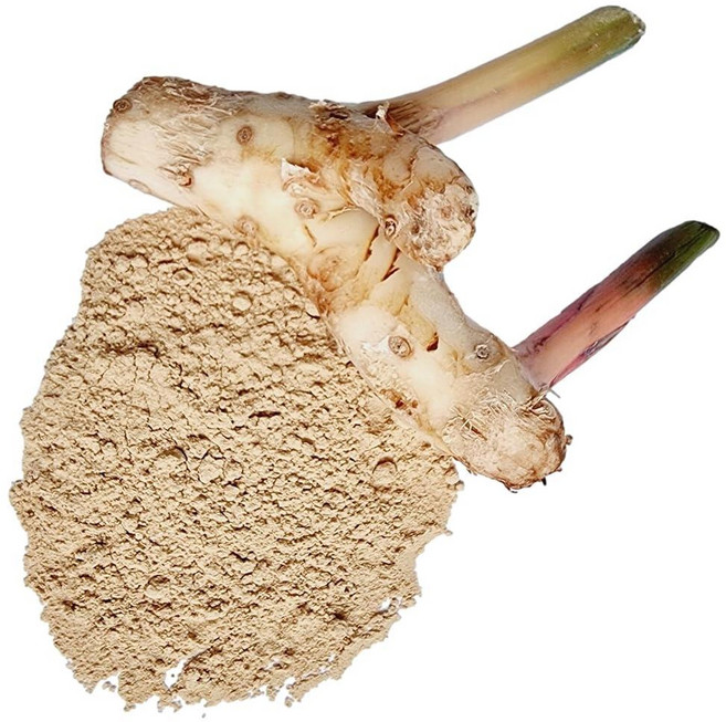 Galangal 파우더 100% 알피니아 갈랑가로 제작 - 순수 천연 그레이터 갈랑갈 렝쿠아 블루 진저 순중량: 50g 240760, Galangal 파우더, 100% 알피니아 갈랑가로 제, 1