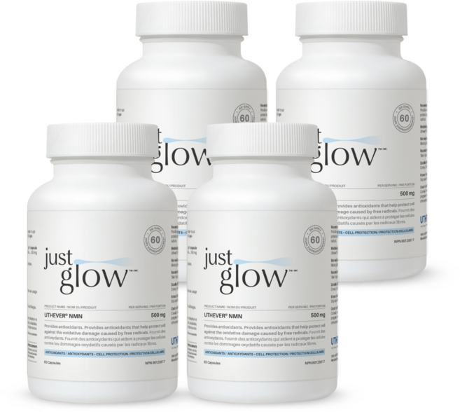 저스트글로우 NMN 500mg, 4개, 60정