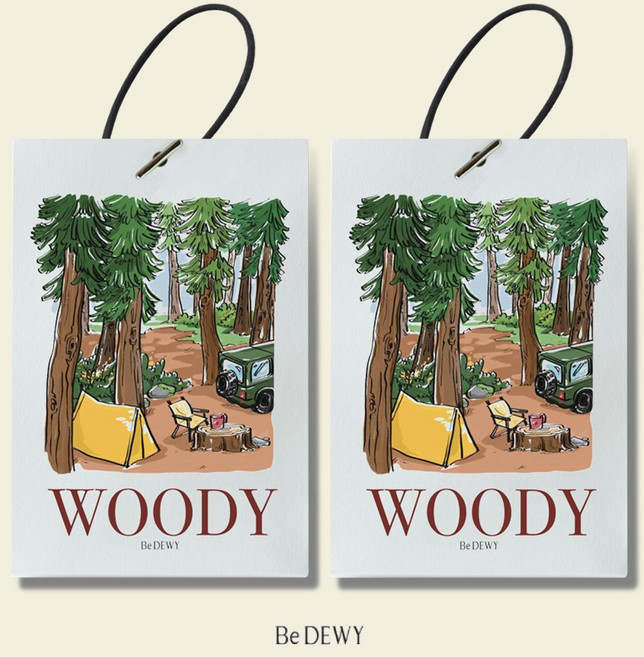 비듀이 퍼퓸 샤쉐 차량용 에어 프레셔너 20g 4종, 우디, 2개