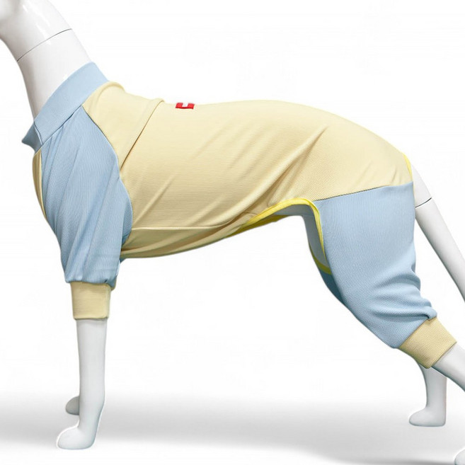 대형견올인원 대형견옷 중형견 강아지옷 티셔츠 실내복, 1개, 라글란올인원(옐로우/블루)