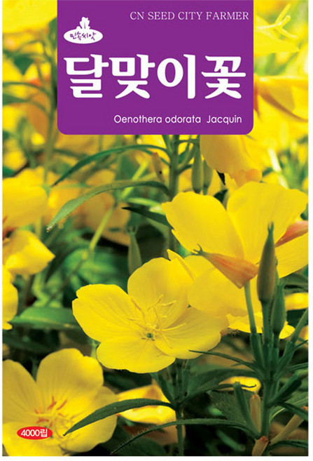 청농 달맞이꽃 민속씨앗 4000립, 1개