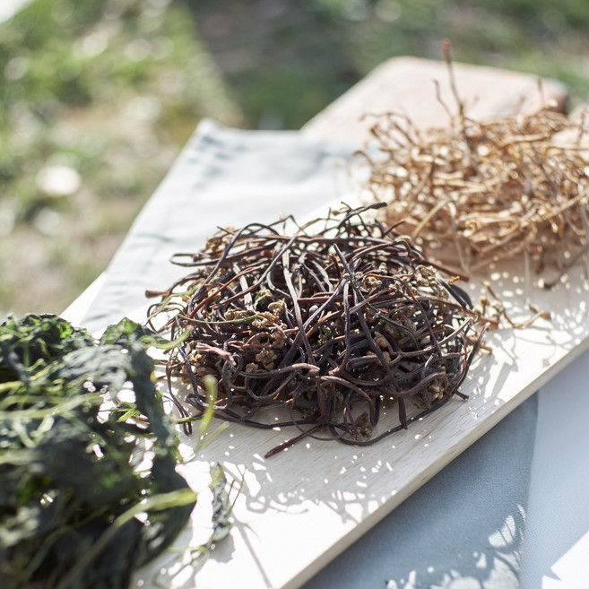 온유네 국산 햇 고사리 지리산 건나물 취나물 곤드레 시래기 토란대 고춧잎 고구마줄기 무말랭이 호박고지 고춧잎 아주까리 유채, 14-1 햇 건유채 50g[일반농산물], 1개