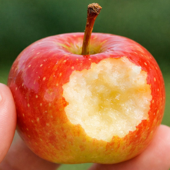 [매일한정특가] 한입사과 꿀부사 청송사과 하루한알 다이어트 일등, 1박스, 5kg 한입사과