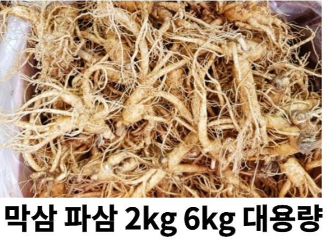 금산인삼시장 수삼 파삼 가정용 흠있는 1kg 못생긴인삼 막삼 대용량, 파삼4kg, 1개