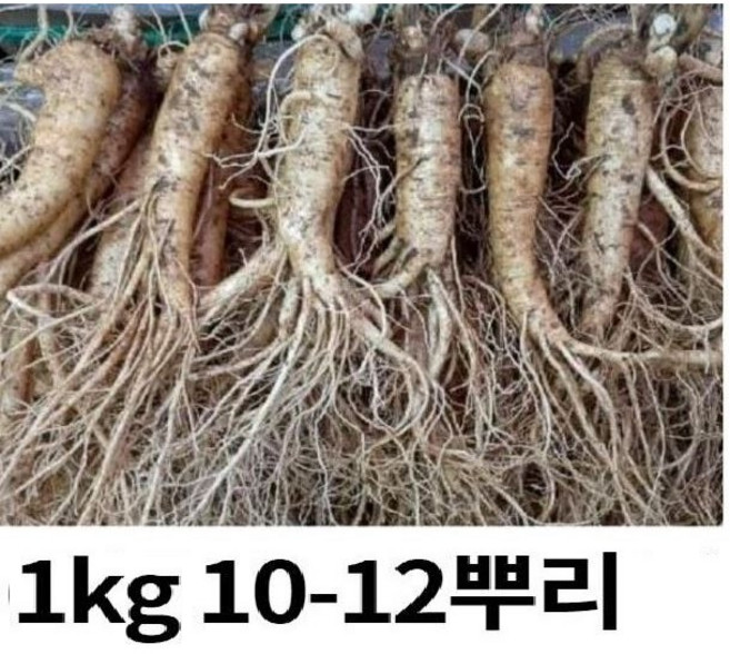 선물인삼 원삼 5년근 대사이즈 1kg 10-12 뿌리 (선물용 홍삼용 실속인삼) 금산, 금산인삼 1kg(10-12)1, 1개