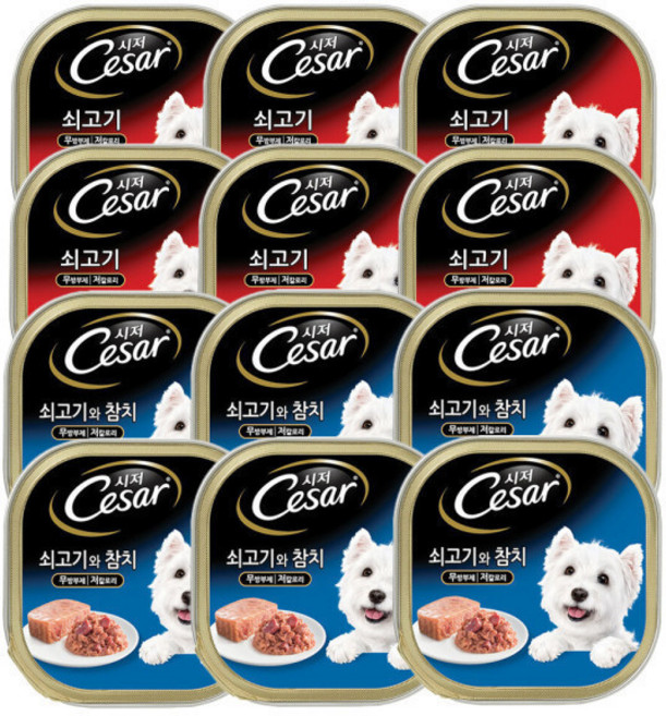 시저 쇠고기 +쇠고기와 참치, 6개, 100g, 소