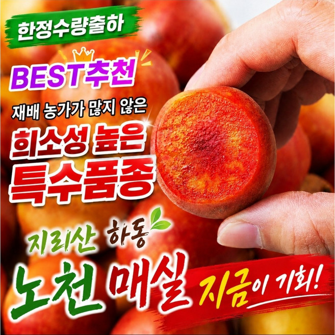 [신품종] 지리산 하동 노천매실(와인매실) 한정수량 / 2차물량 확보, 1개, 지리산 노천매실(와인매실) 3kg