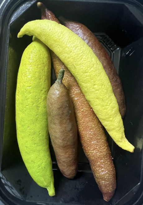 국산 냉동 맛있는 핑거라임 생과 톡톡 터지는 핑거라임 캐비어라임, 1개, 100g