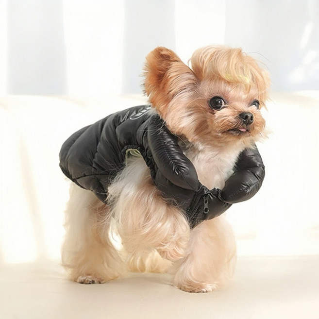 봉봉스 파스텔 반려견 경량 패딩, 1개, 블랙