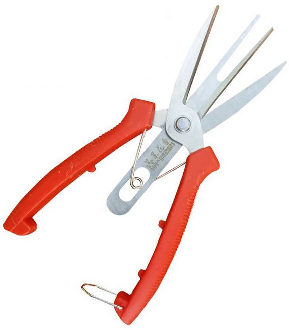 과일 꽃솎는 가위 원예 적과가위 특수 적화 알솎기 도구 배나무 사과 나무, 1개