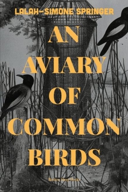 (영문도서) An Aviary of Common Birds Paperback, Broken Sleep Books, English, 9781915760302