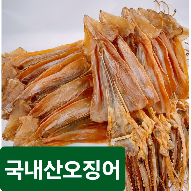 쫄깃한 배오징어 20마리(한축)1.1kg 건오징어 마른오징어, 1개, 1.1kg(20마리)