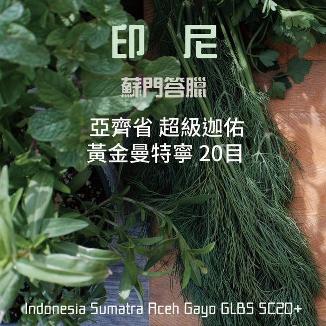 【好日Coffee Roaster】印尼蘇門答臘亞齊省黃金曼特寧20目中深焙咖啡豆 手沖精品咖啡, 1個, 半磅｜227公克, 全豆咖啡（未研磨）