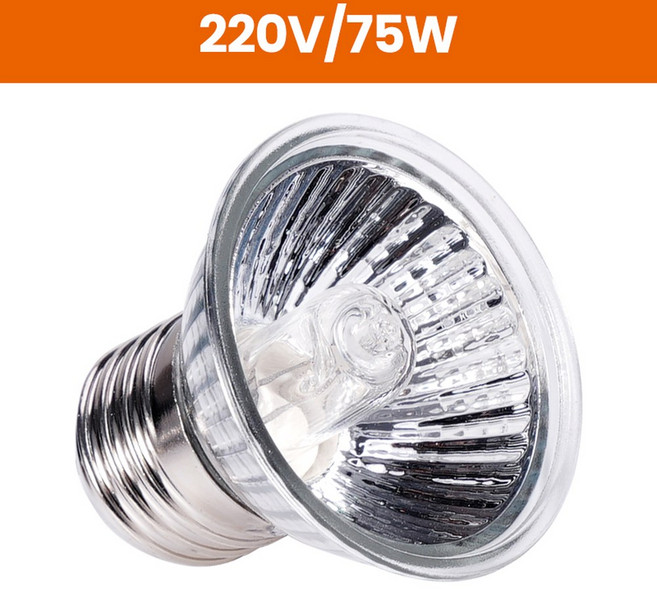 파충류UVA보온램프세트 사육장조명 25W50W70W 220V 3개구성, 1pcs, 75w