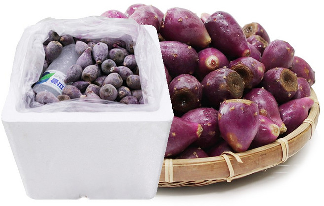 진생마트 제주도 농장수확 냉동 백년초, 1개, 3kg