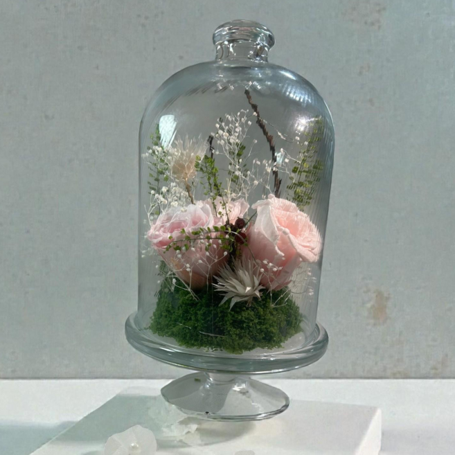문 플뢰르 여자친구 감동 부모님 감사 집들이 시들지않는 생화 프리저브드 유리돔, light pink + 고급선물포장