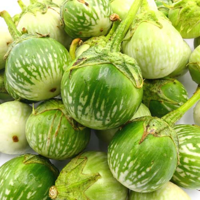 태국가지 마크아 커밋가지 Kermit Eggplant, 1박스, 1kg