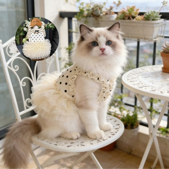 강아지 치마 꽃무늬 프린트 프린세스 스타일 소형견 애완동물 의류, 1개, Apricot