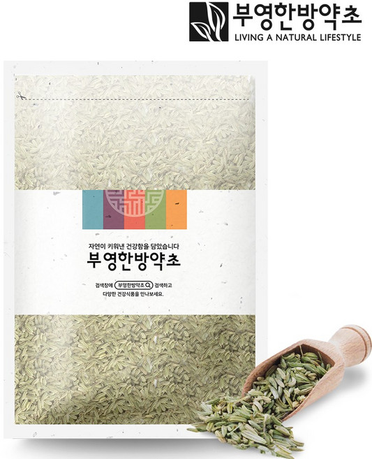 부영한방약초 펜넬 산미나리씨앗 1kg, 1개, 1개입