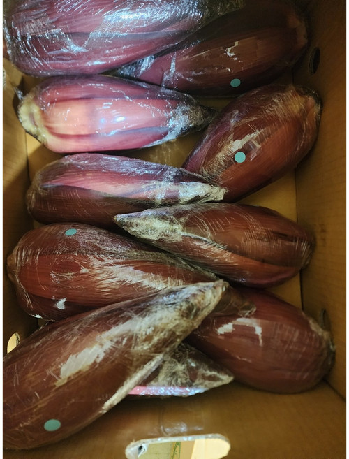 동남아야채나라 생 바나나꽃 1kg 10개