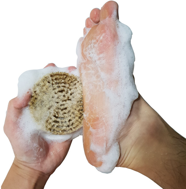 섹시백 돈모 풋브러쉬(발 브러쉬), 1개, 1개입