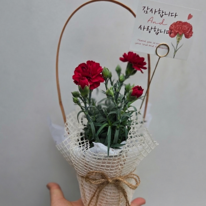 안녕두구동 카네이션바구니 생화 오래꽃보시기좋아요 어버이날 감사의마음을전하는 프리미엄패키지, 1개, 빨강