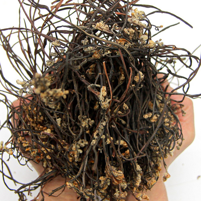 푸레아 국내산 건고사리 나물 1kg, D1]국내산 건고사리 1kg