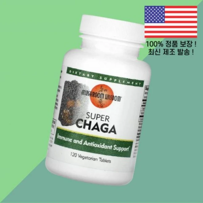 머쉬룸 위즈덤 슈퍼 차가버섯 베지테리언정 120정 Mushroom Wisdom Super Chaga 120 Vegetarian Tablets, 머쉬룸 위즈덤 슈퍼 차가버섯 베지테리언정 120정 Mu, 1개 - 쿠팡
