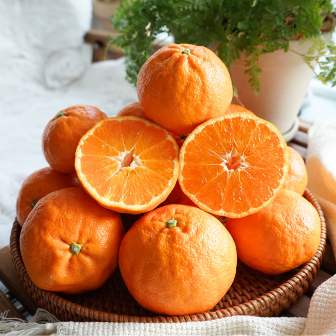 [하루30박스특가] 꿀당도선별 제주 카라향 귤, 1개, 2kg (중상)